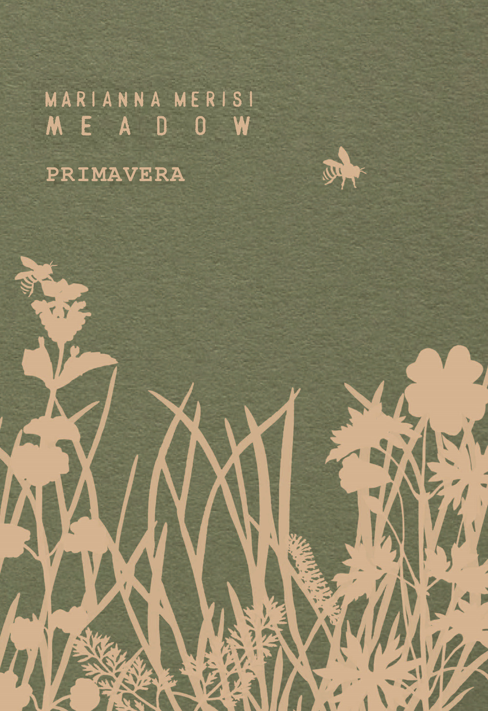 Meadow. Primavera. Quaderno botanico