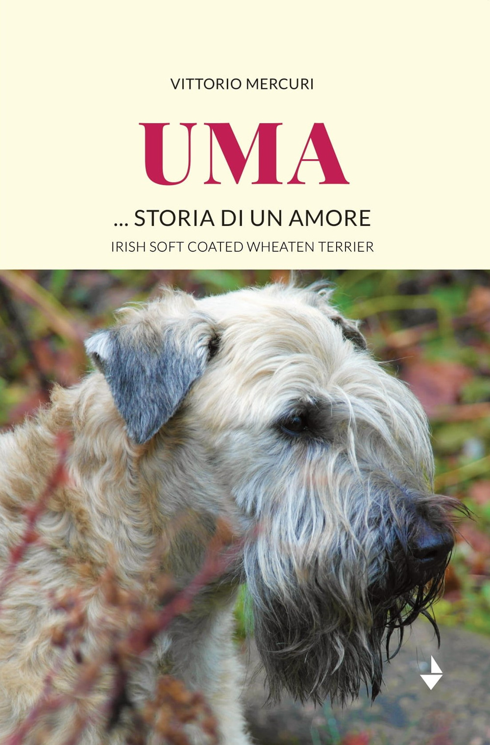 Uma... storia di un amore. Irish Soft Coated Wheaten Terrier