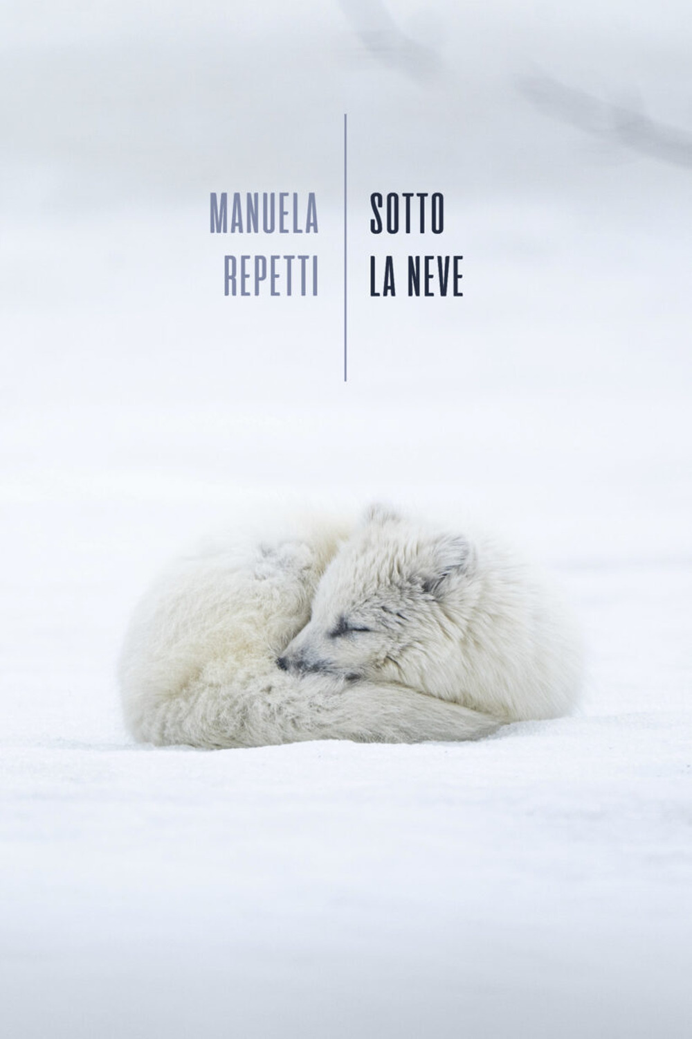 Sotto la neve