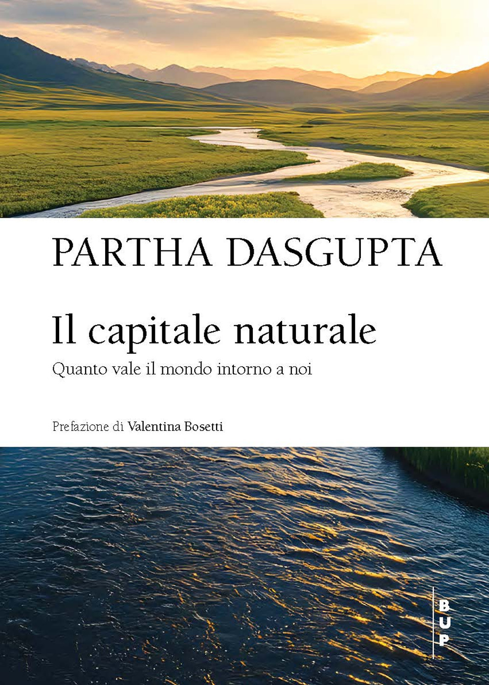Il capitale naturale