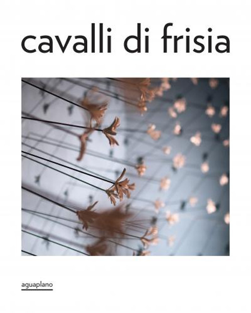 Cavalli di Frisia