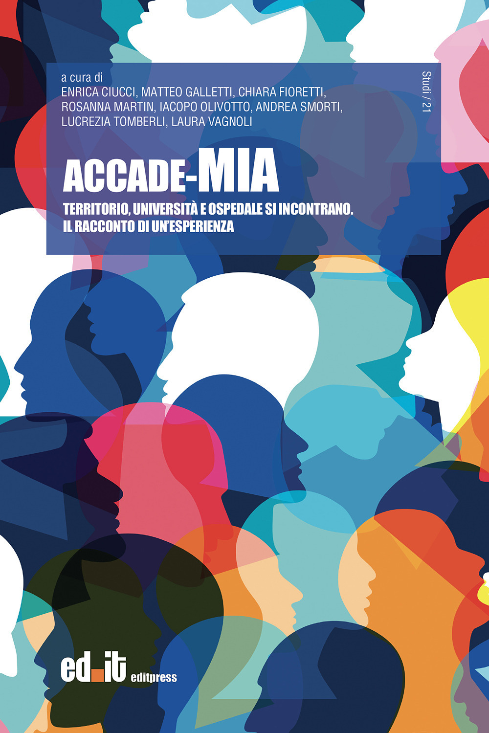 Accade-Mia. Territorio, università e ospedale si incontrano. Il racconto di un'esperienza