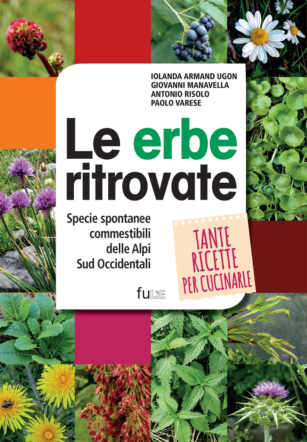 Le erbe ritrovate. Specie spontanee commestibili delle Alpi Sud Occidentali