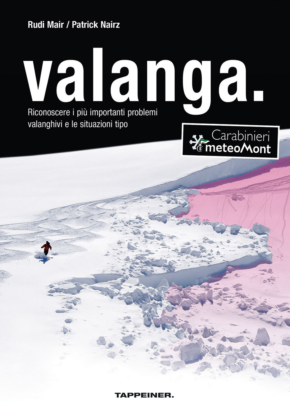 Valanga. Riconoscere le 10 più importanti situazioni tipo di pericolo valanghe. Ediz. ampliata