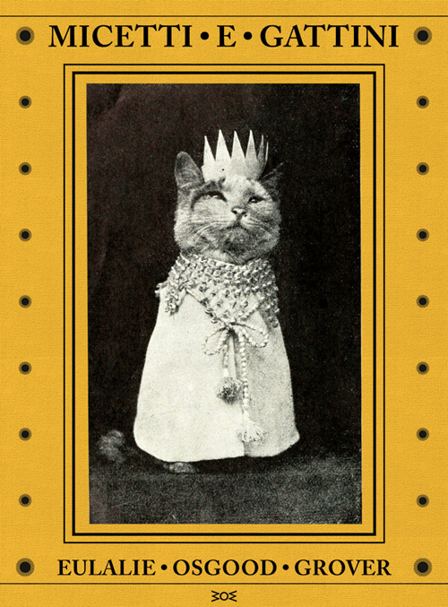 Micetti e gattini. Ediz. illustrata