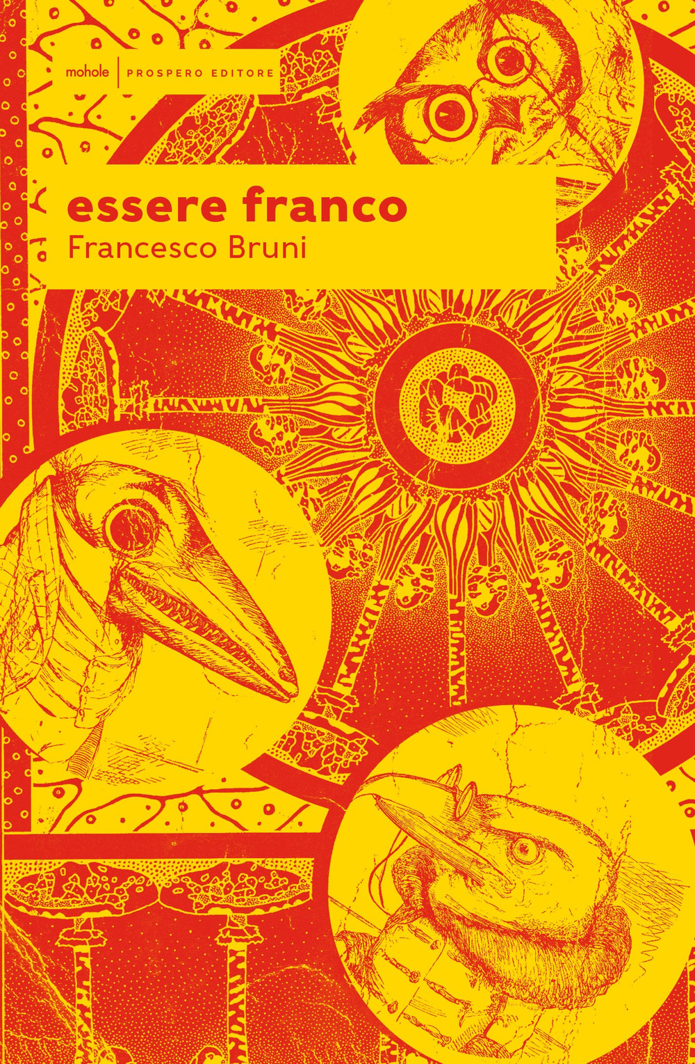 Essere franco