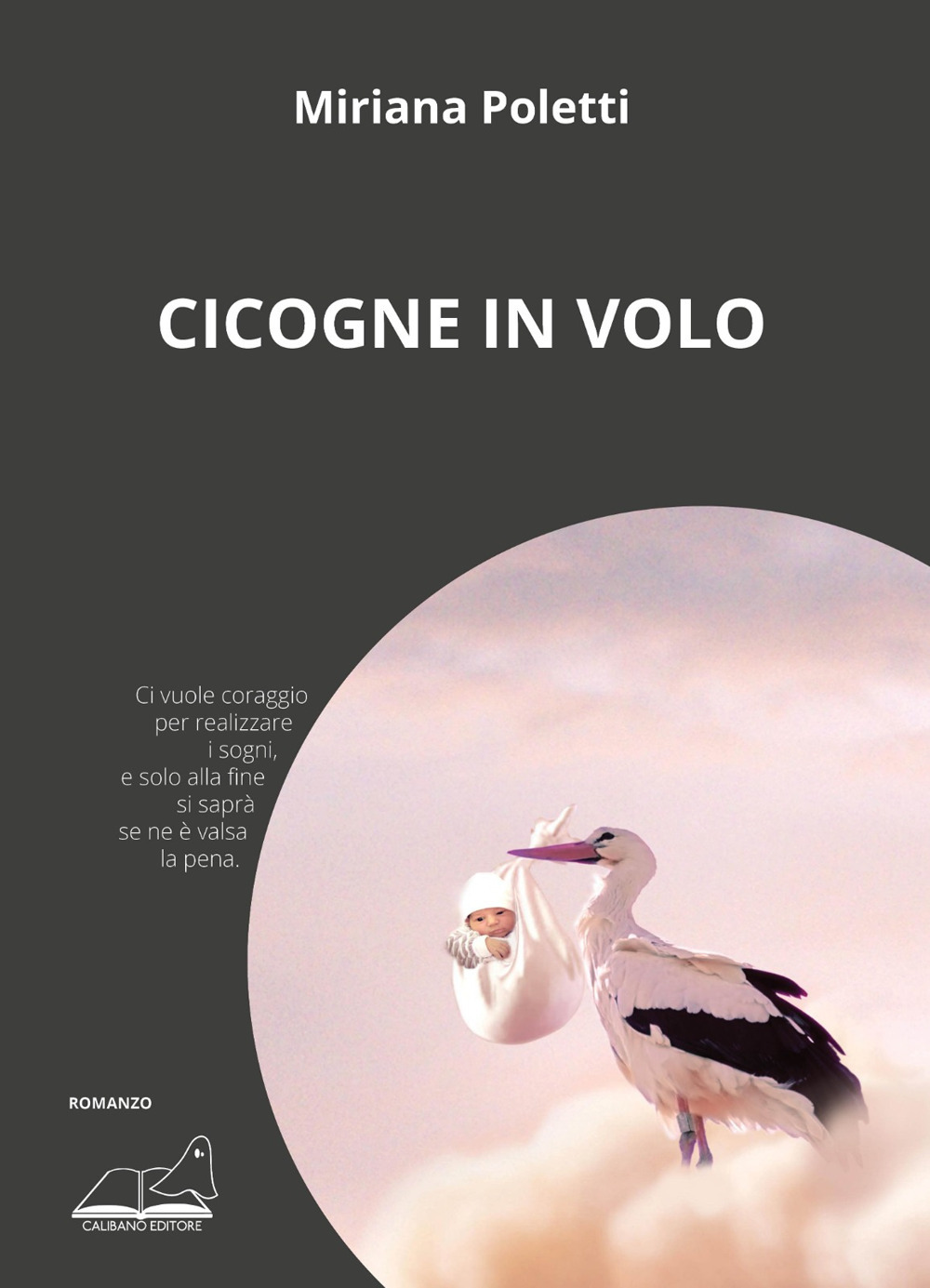 Cicogne in volo