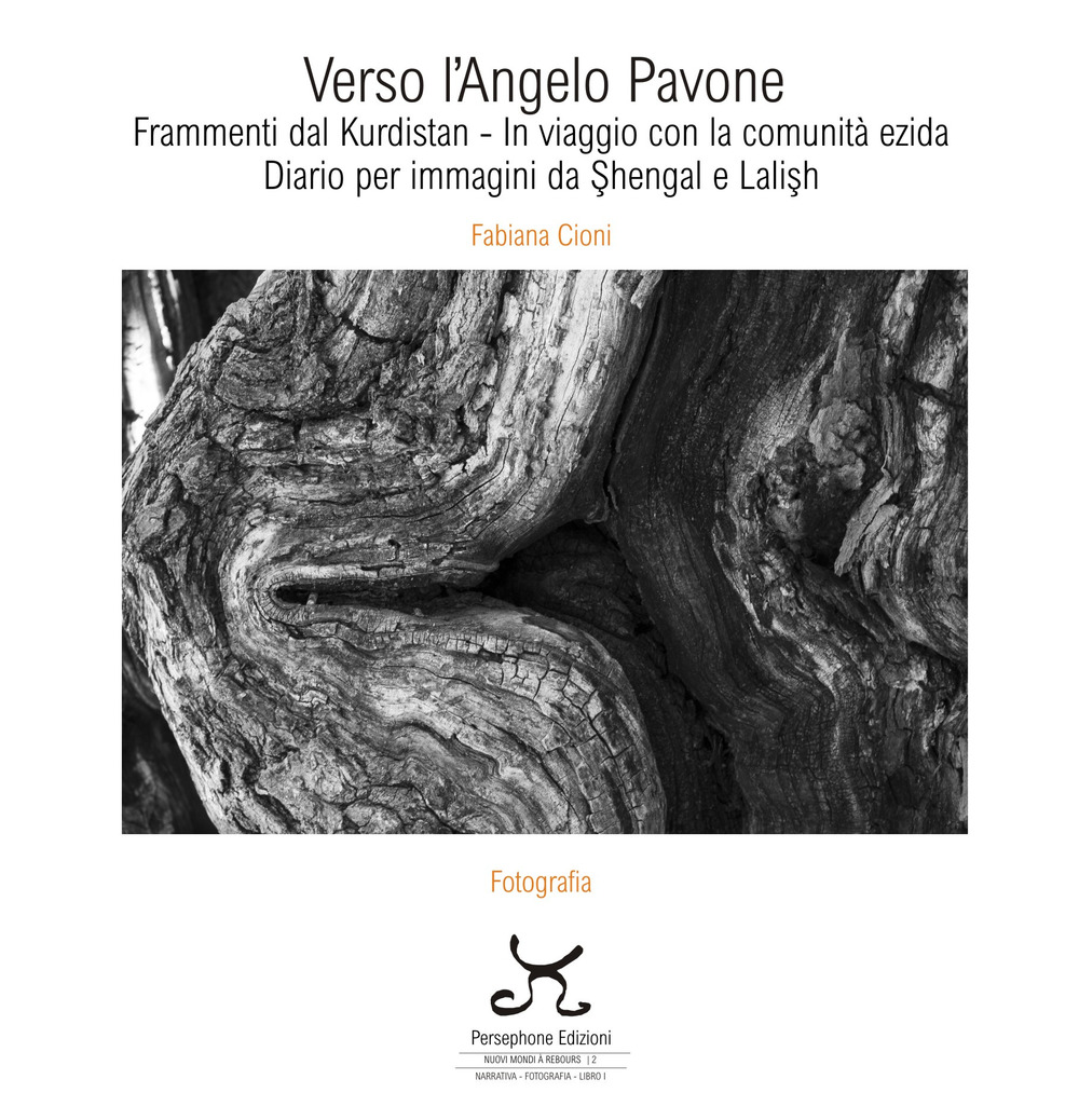 Verso l'Angelo Pavone. Frammenti dal Kurdistan - In viaggio con la comunità ezida. Diario per immagini da Shengal e Lalish