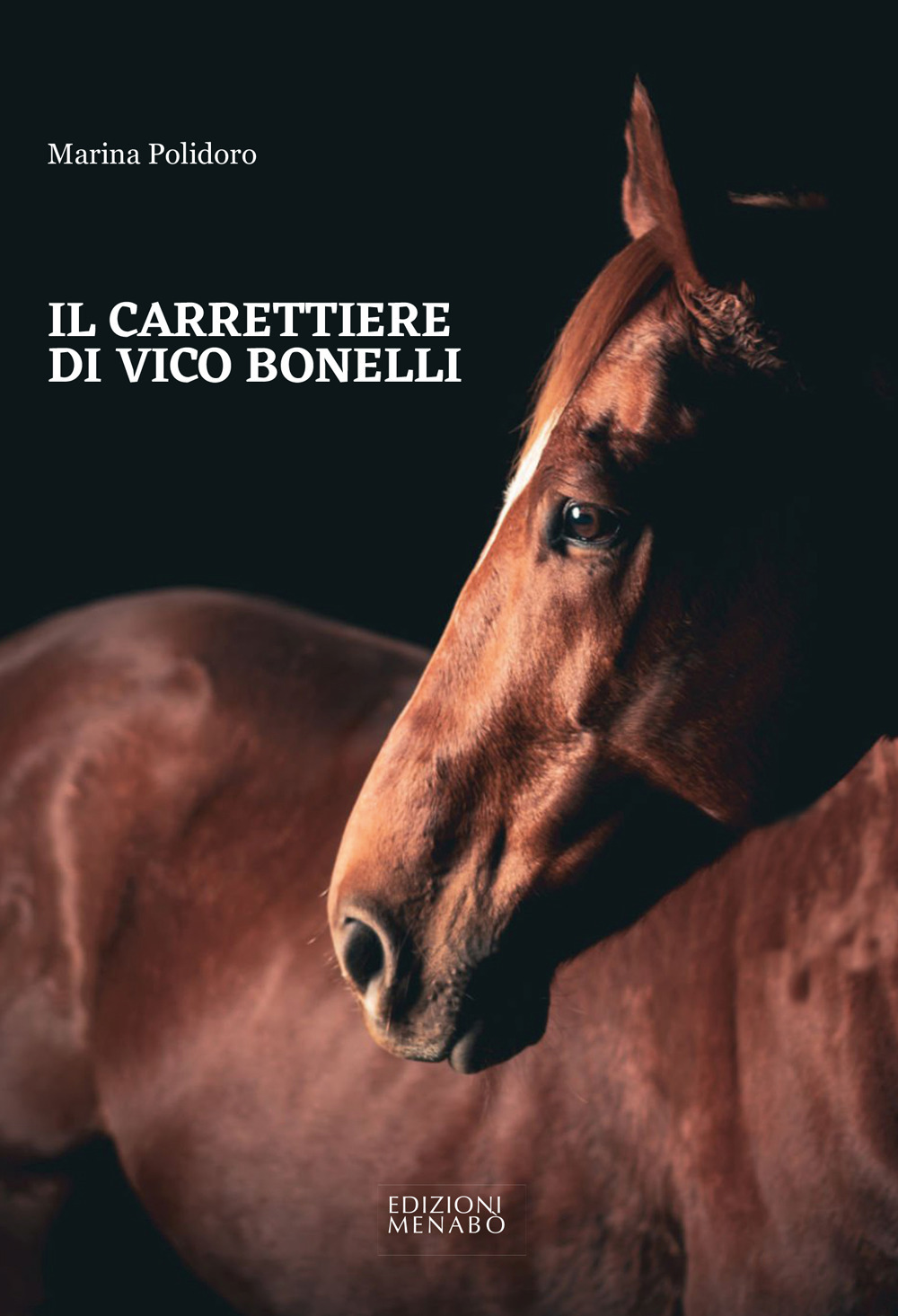 Il carrettiere di Vico Bonelli