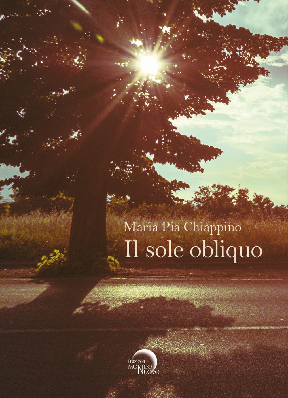 Il sole obliquo