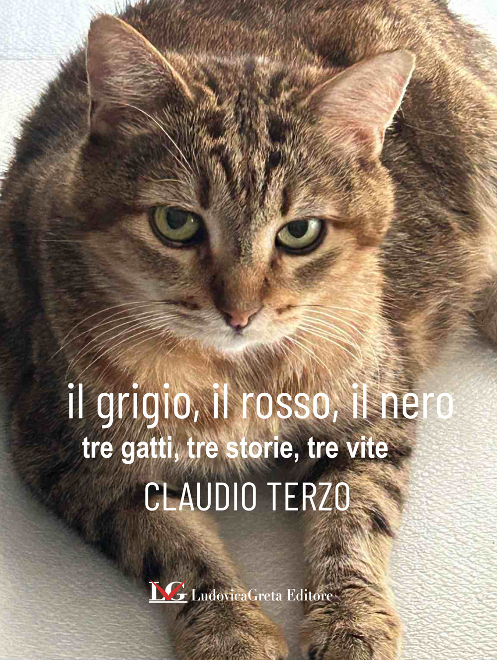 Il grigio, il rosso, il nero. Tre gatti, tre storie, tre vite. Ediz. illustrata