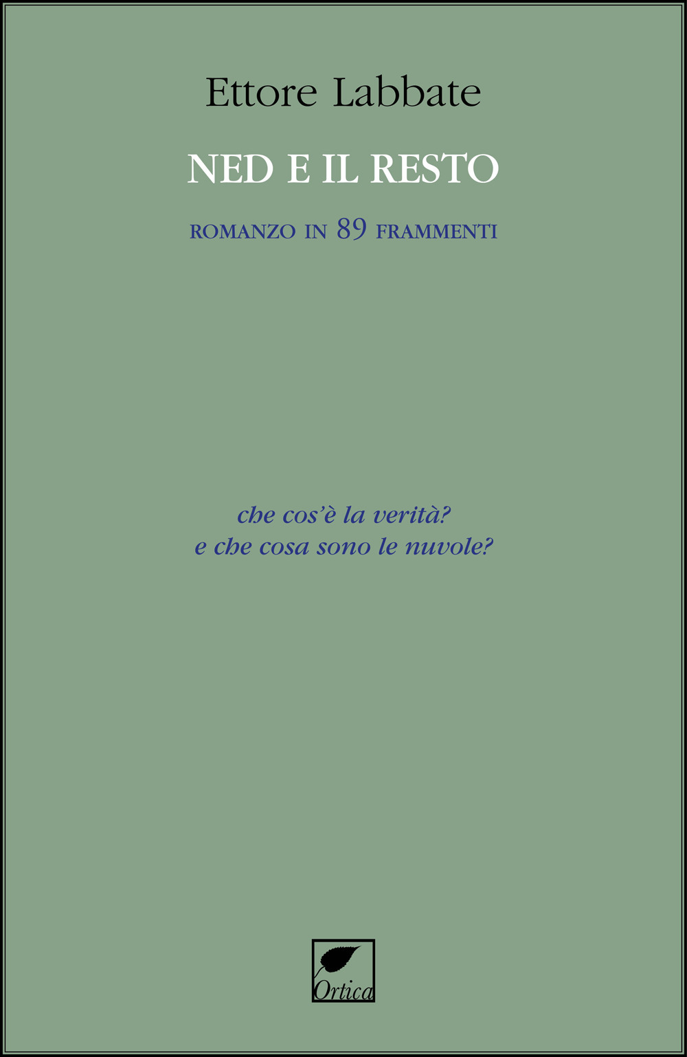 Ned e il resto. Romanzo in 89 frammenti