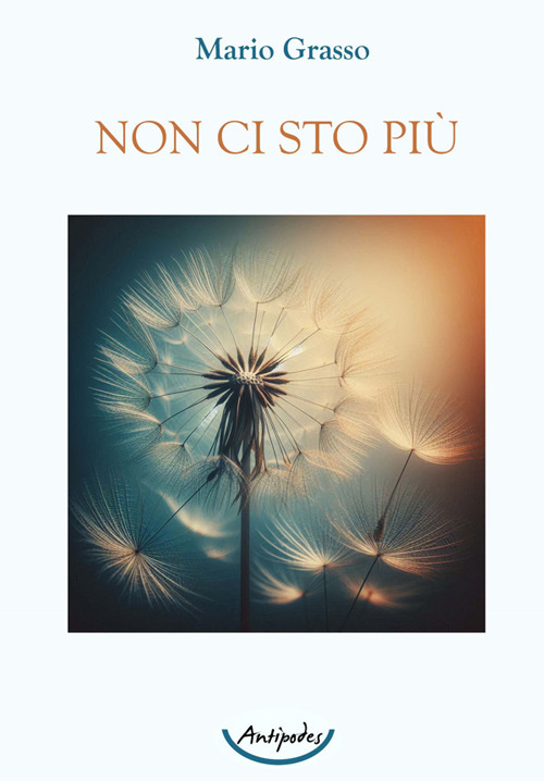 Non ci sto più