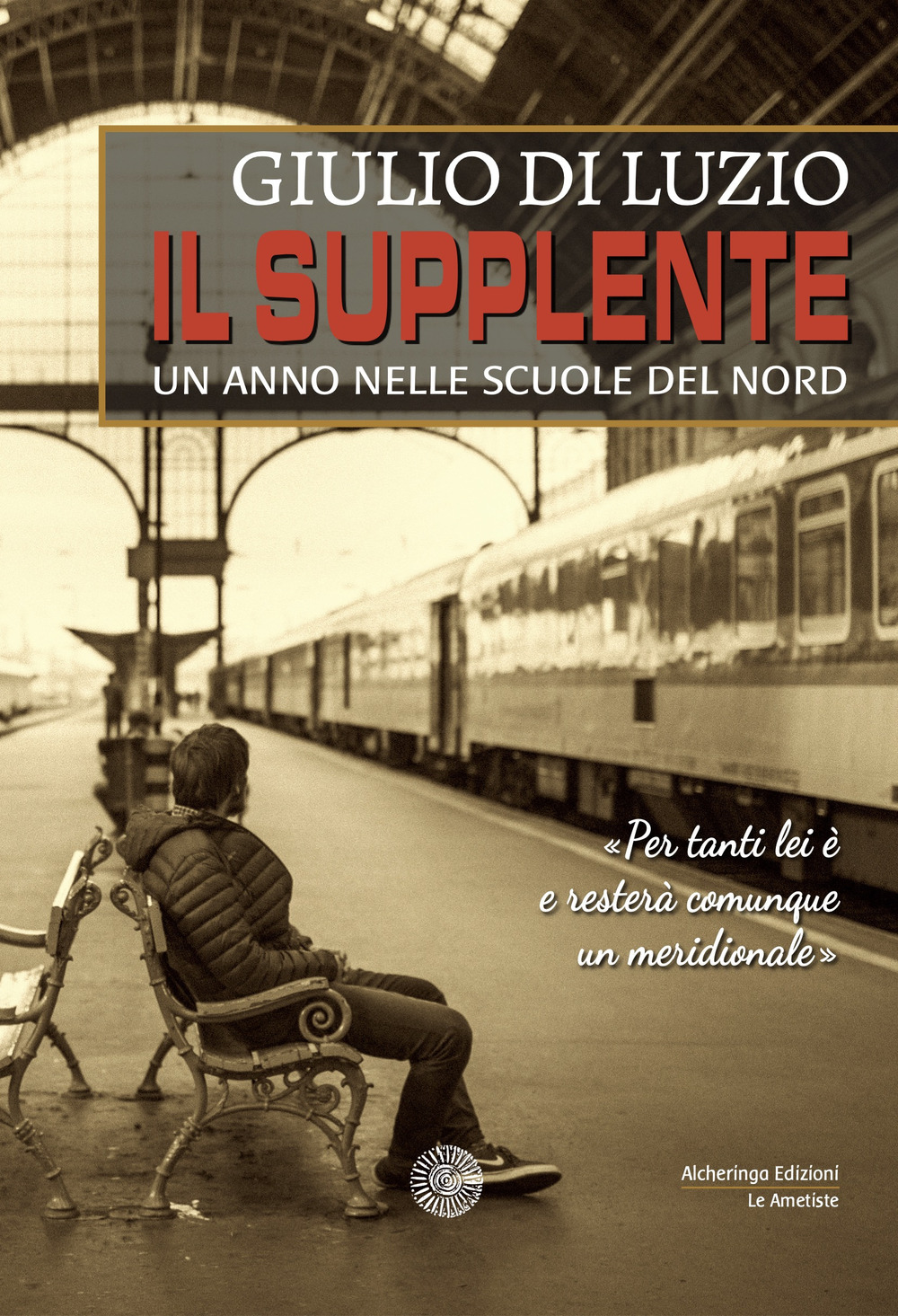 Il supplente. Un anno nelle scuole del Nord