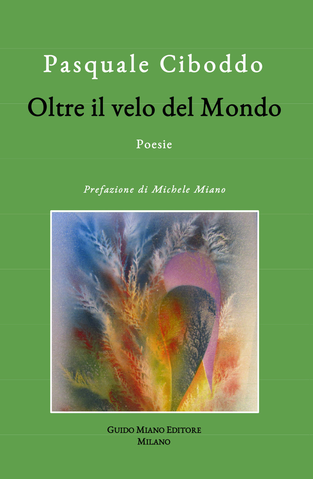 Oltre il velo del mondo