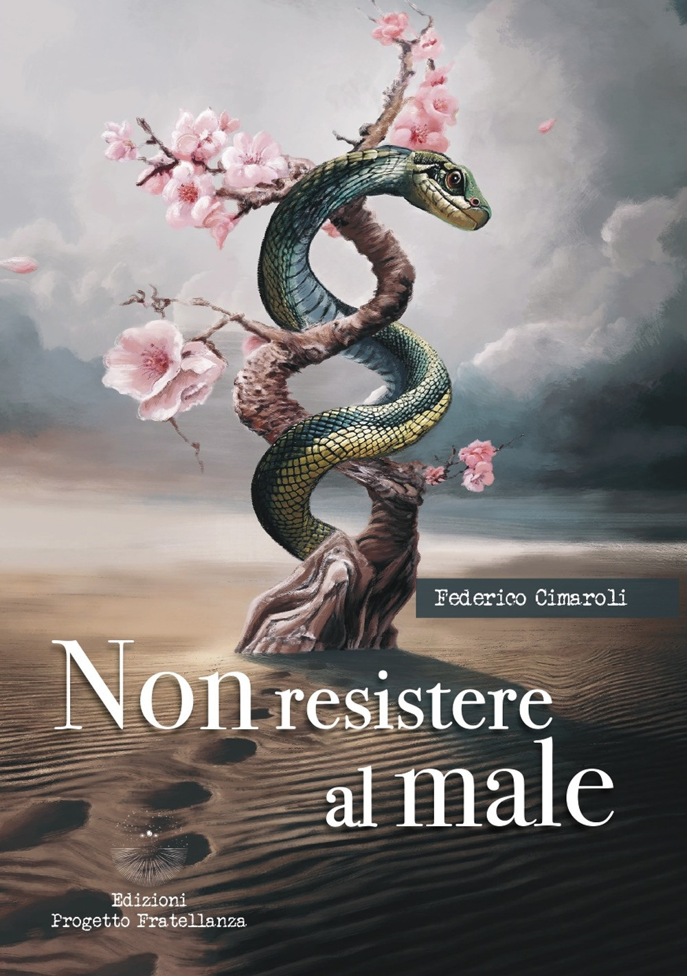 Non resistere al male