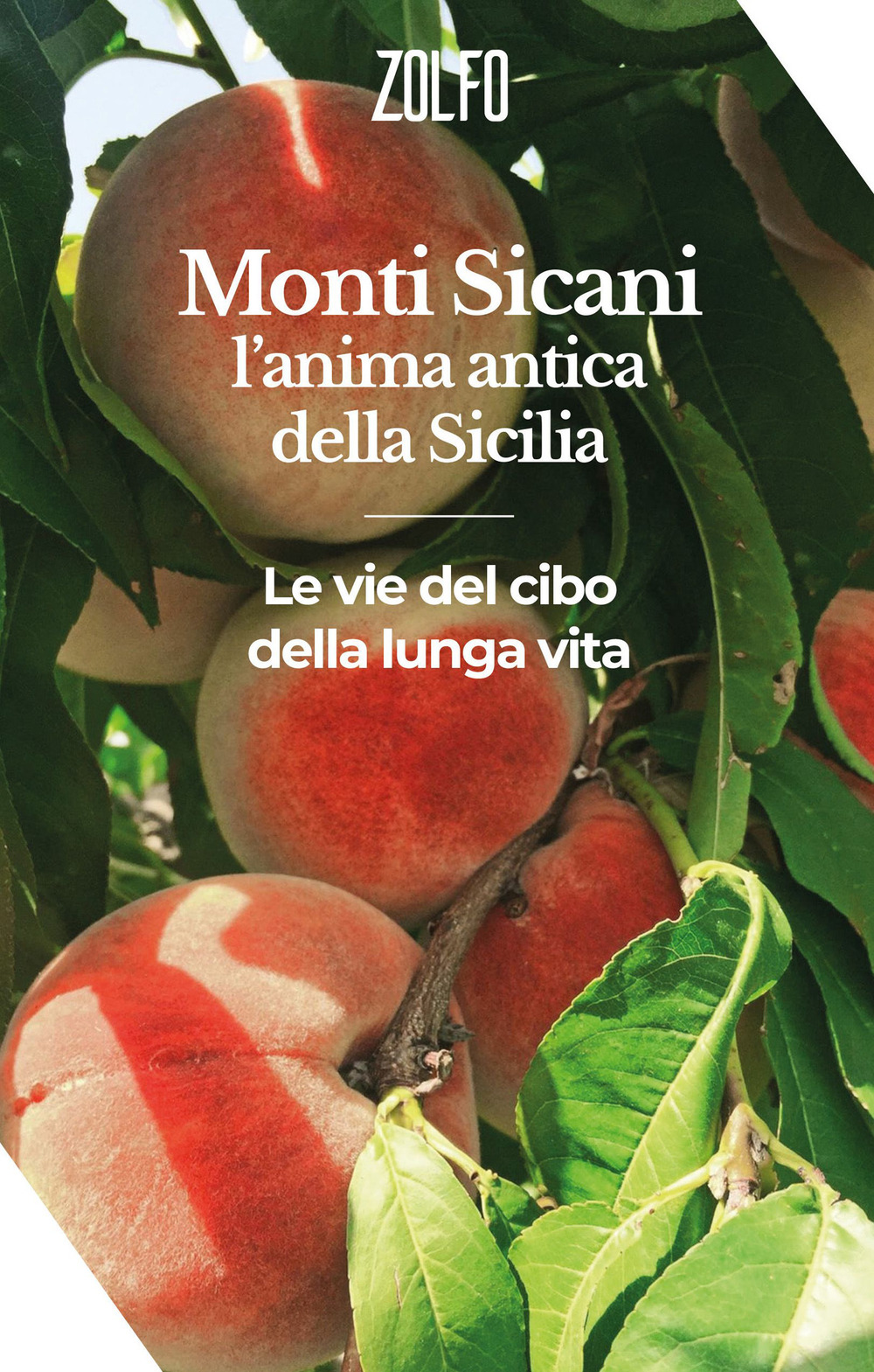 Monti Sicani, l'anima antica della Sicilia. Le vie del cibo e della lunga vita
