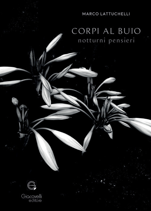 Corpi al buio. Notturni pensieri