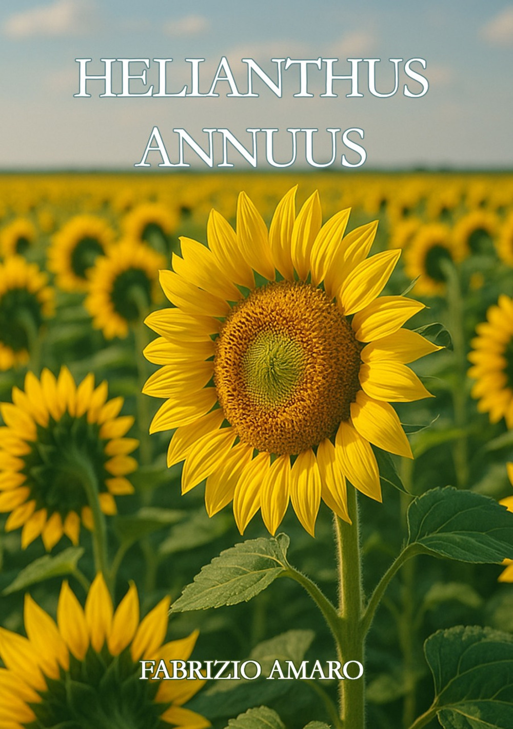 Helianthus Annuus