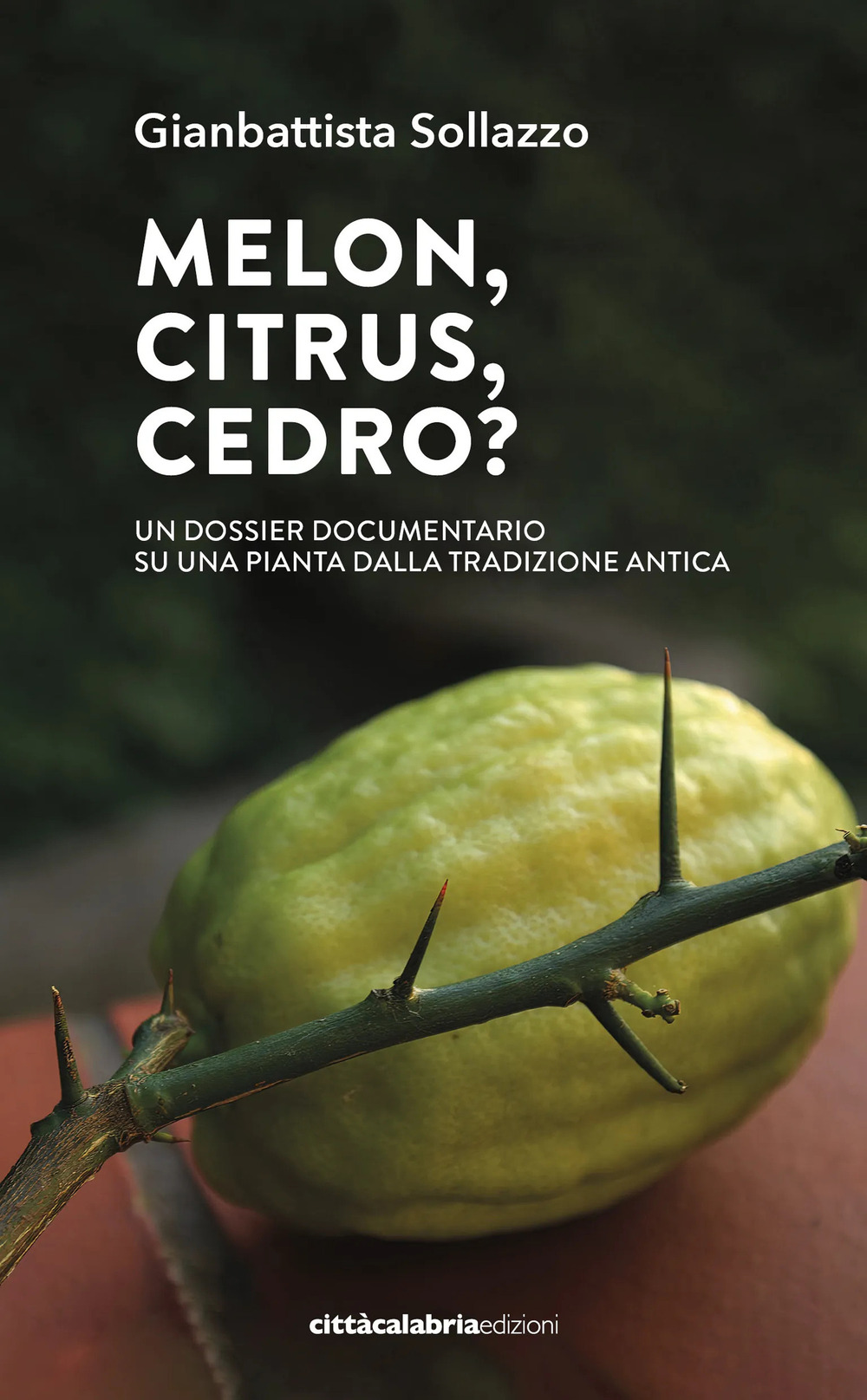 Melon, citrus, cedro? Un dossier documentario su una pianta dalla tradizione antica