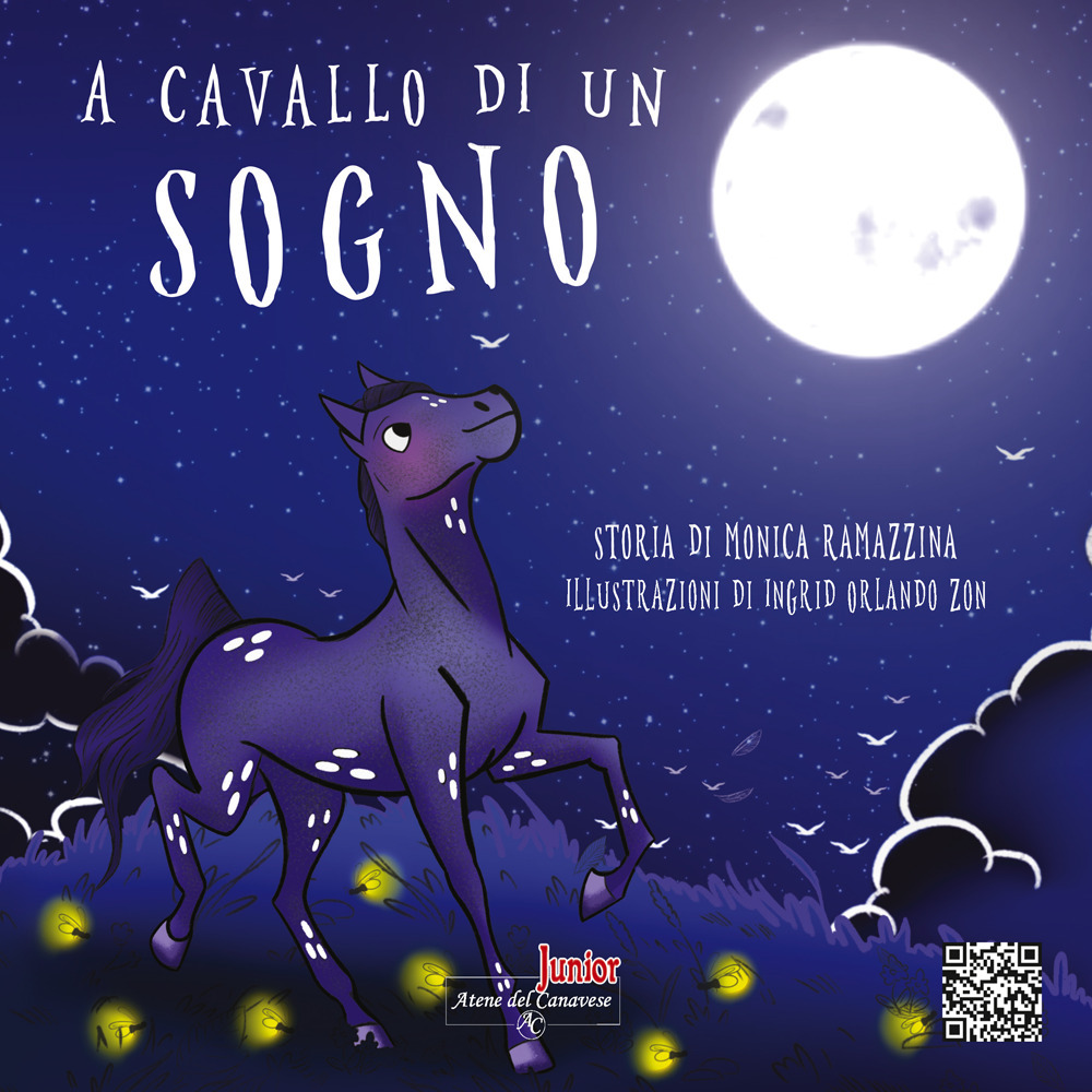 A cavallo di un sogno. Ediz. illustrata