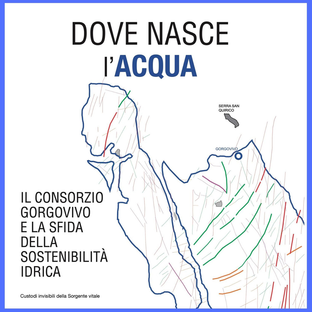 Dove nasce l'acqua. Il Consorzio Gorgovivo e la sfida della sostenibilità idrica. Ediz. illustrata