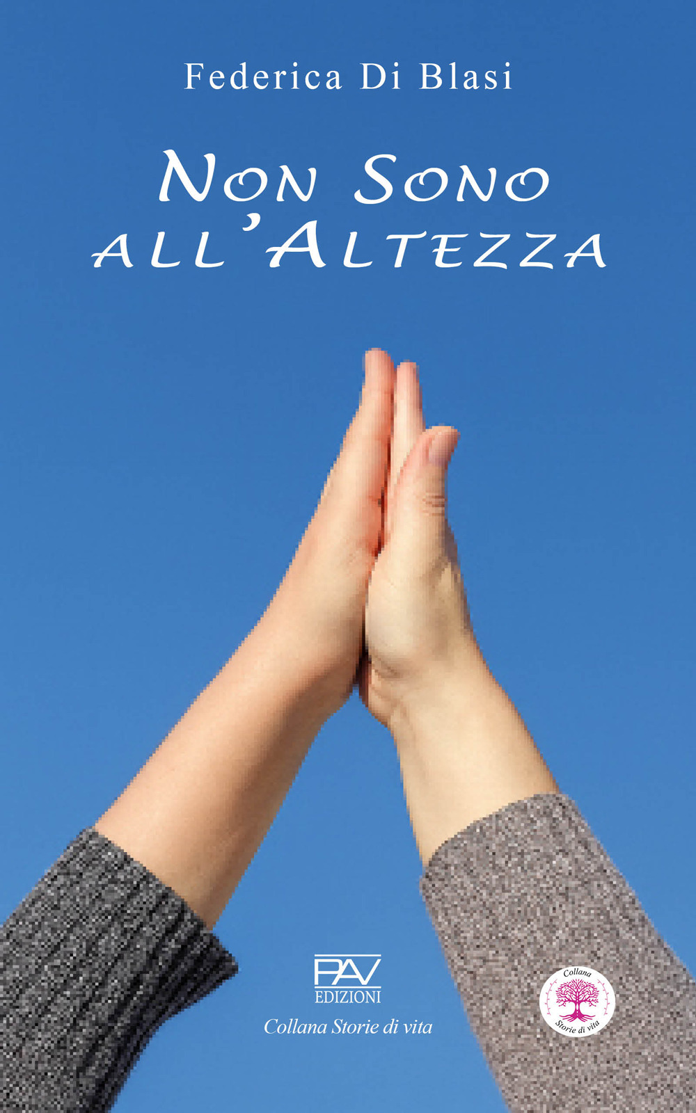 Non sono all'altezza