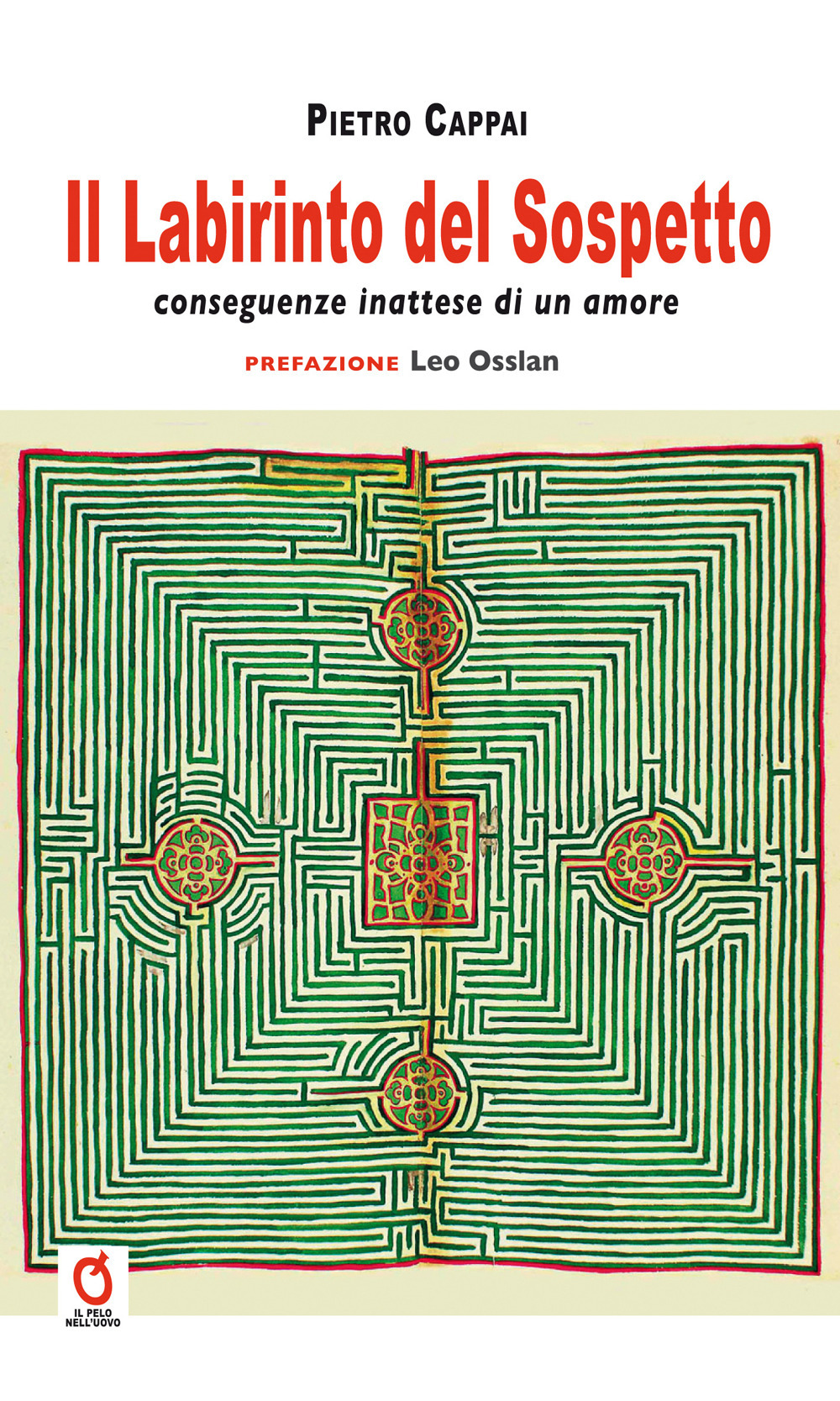 Il labirinto del sospetto. Conseguenze inattese di un amore