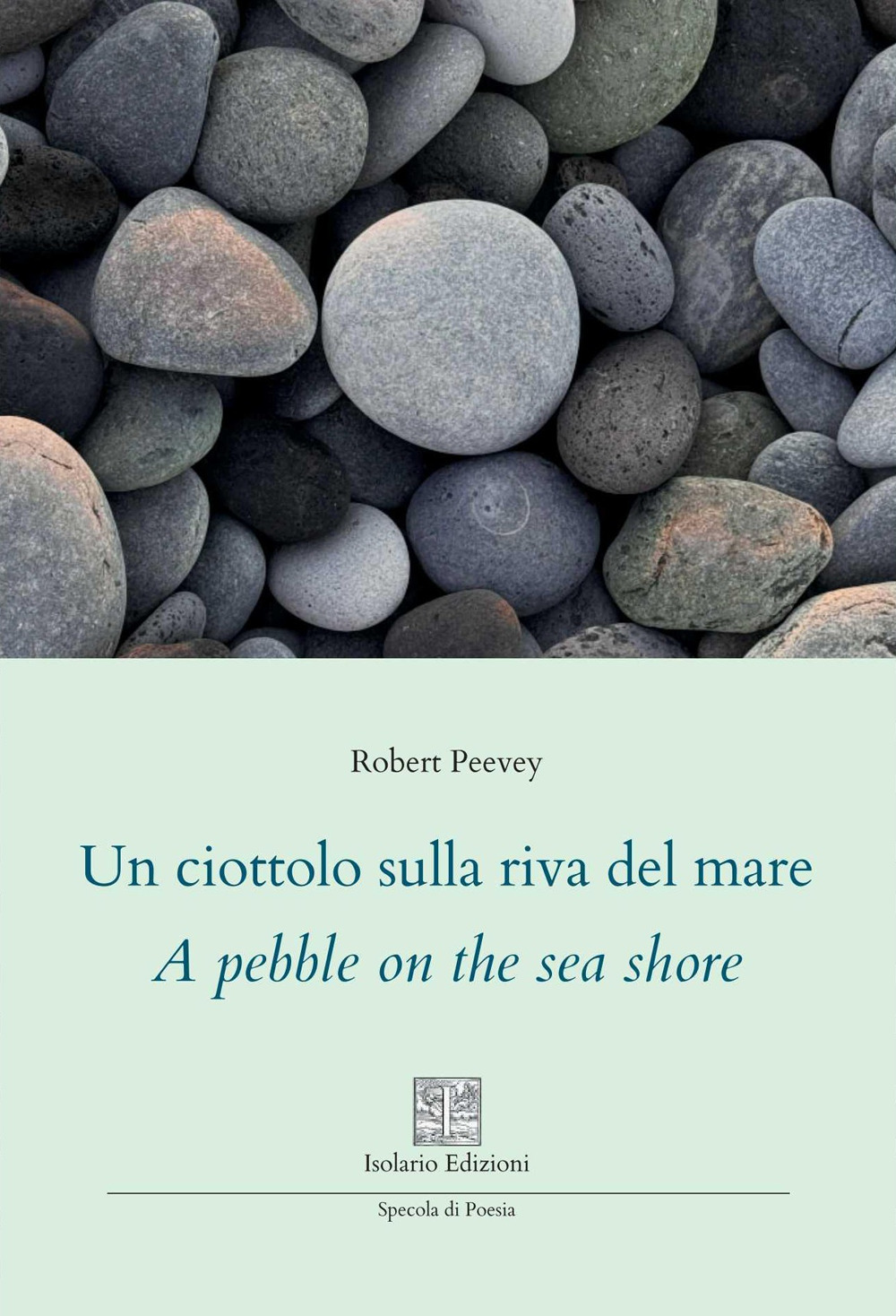 Un ciottolo sulla riva del mare. A pebble on the sea shore. Ediz. multilingue