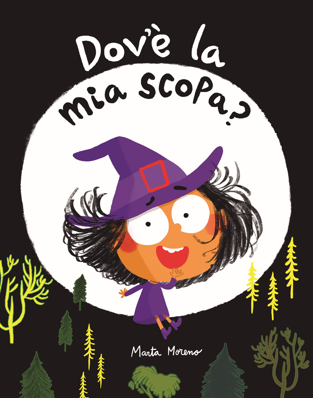 Dov'è la mia scopa? Ediz. illustrata