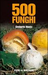 500 funghi